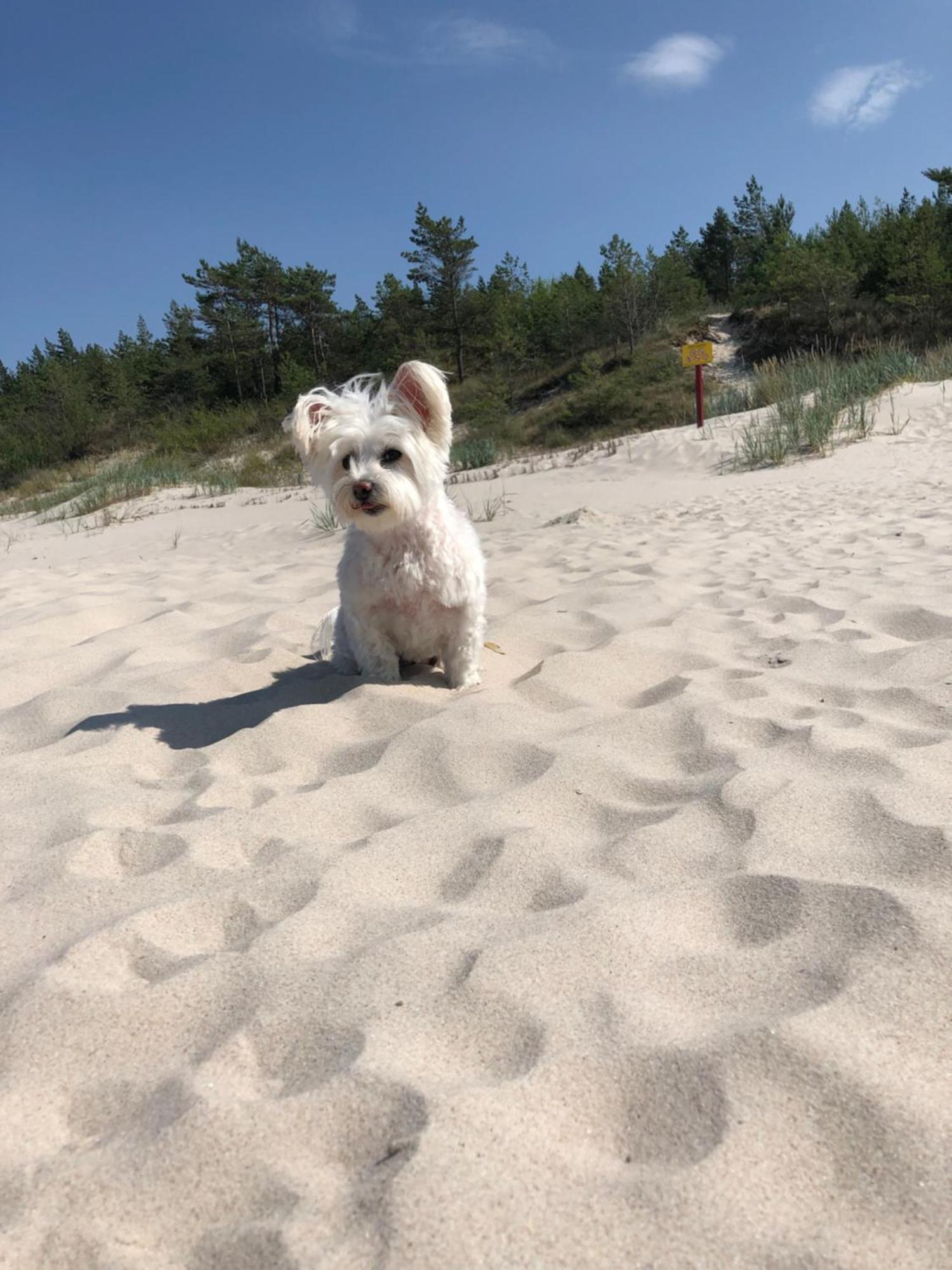 Baltic Holidays Гонски Экстерьер фото